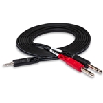 Stereo Breakout Cable 10ft - 3.5 mm TRS to Dual 1/4 in TS