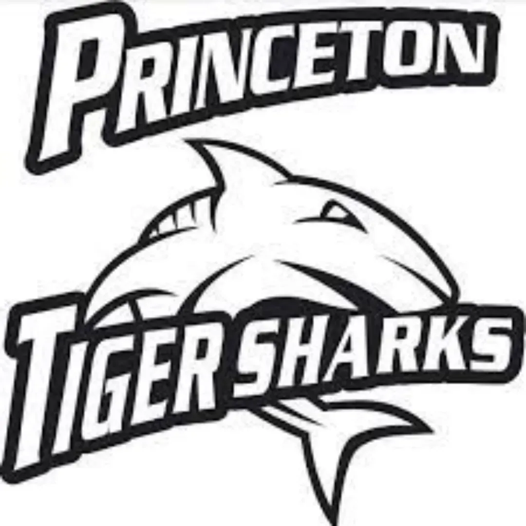 Princeton School Image