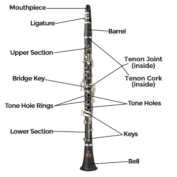 Alto Saxophone Diagram