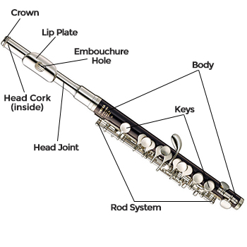 Tenor Saxophone Diagram
