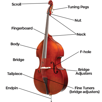 Alto Saxophone Diagram